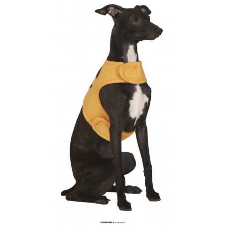 DISFRAZ DE PERRO CALABAZA
